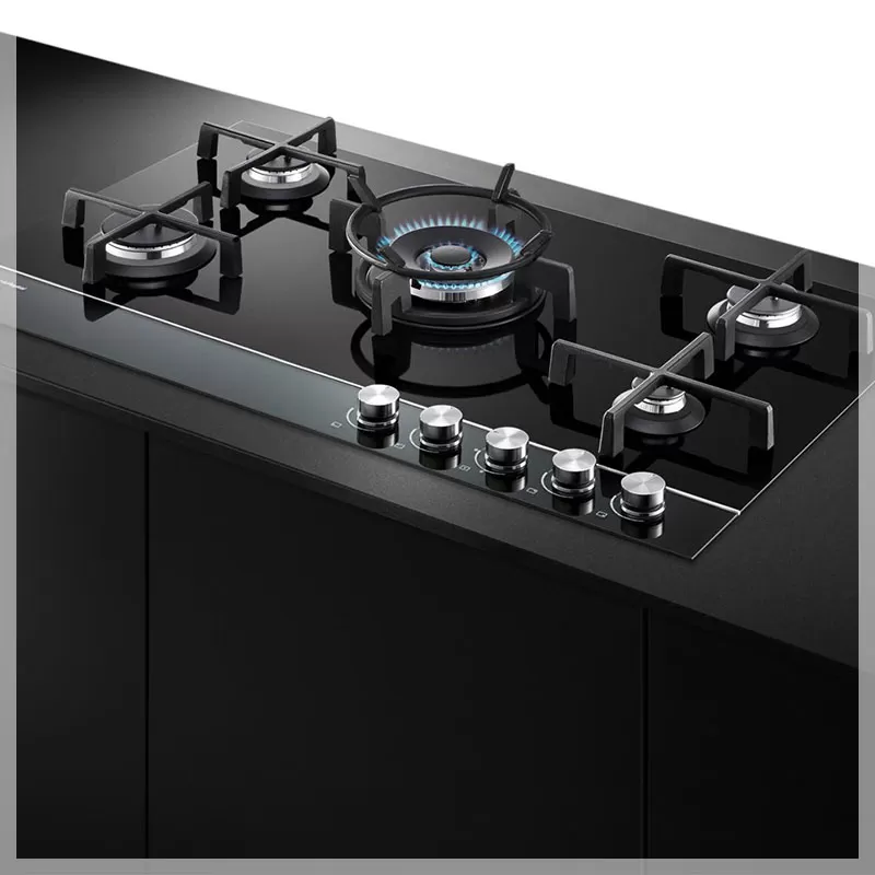 Repaired appliance of Fisher and Paykel in Adelaide